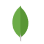MongoDB